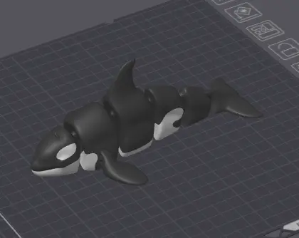 Baleia Orca