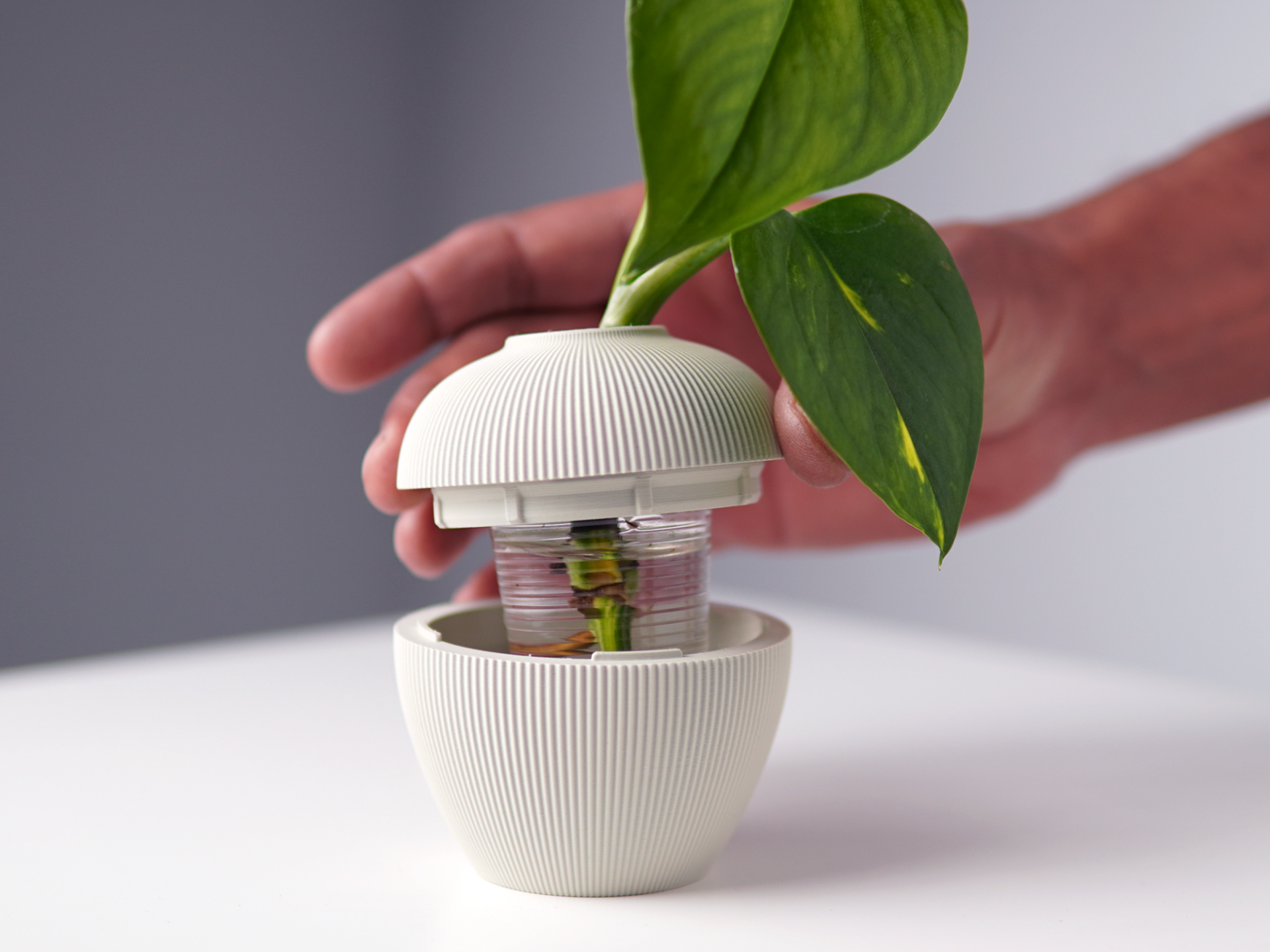 Vaso muda