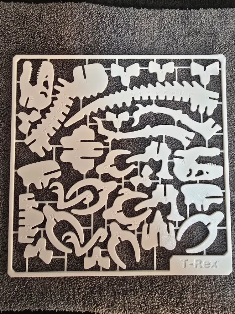 Cartela de Esqueleto T-Rex para Montar — foto 1 de 2