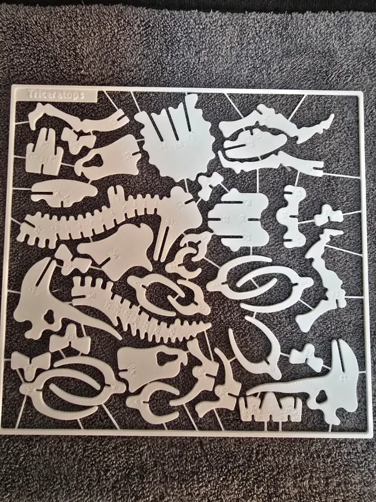 Cartela de Esqueleto Triceratops para Montar — foto 1 de 2